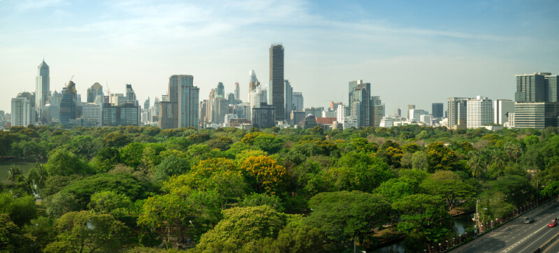 Green environment city and downtown business district in panoramic view