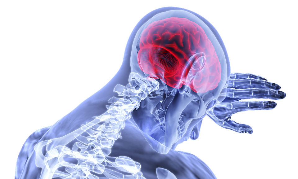 Brainflammation - How Gluten and Grains Trigger Blood Brain Barrier Disruption