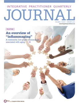 IP Journal V2I1 Cover.png