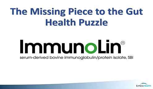 ImmunoLin: The Missing Piece to the Gut Health Puzzle