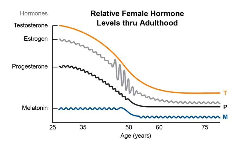 Female Hormone Health