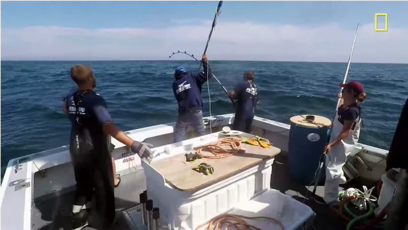 Marciano's Crew on Falcon in Wicked Tuna
