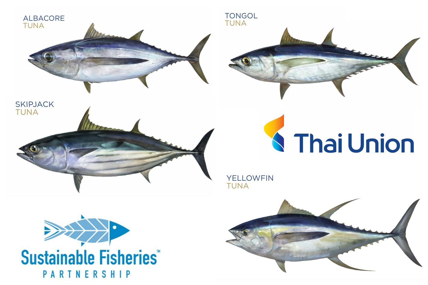 Tuna longline fishing needs to do more to protect endangered