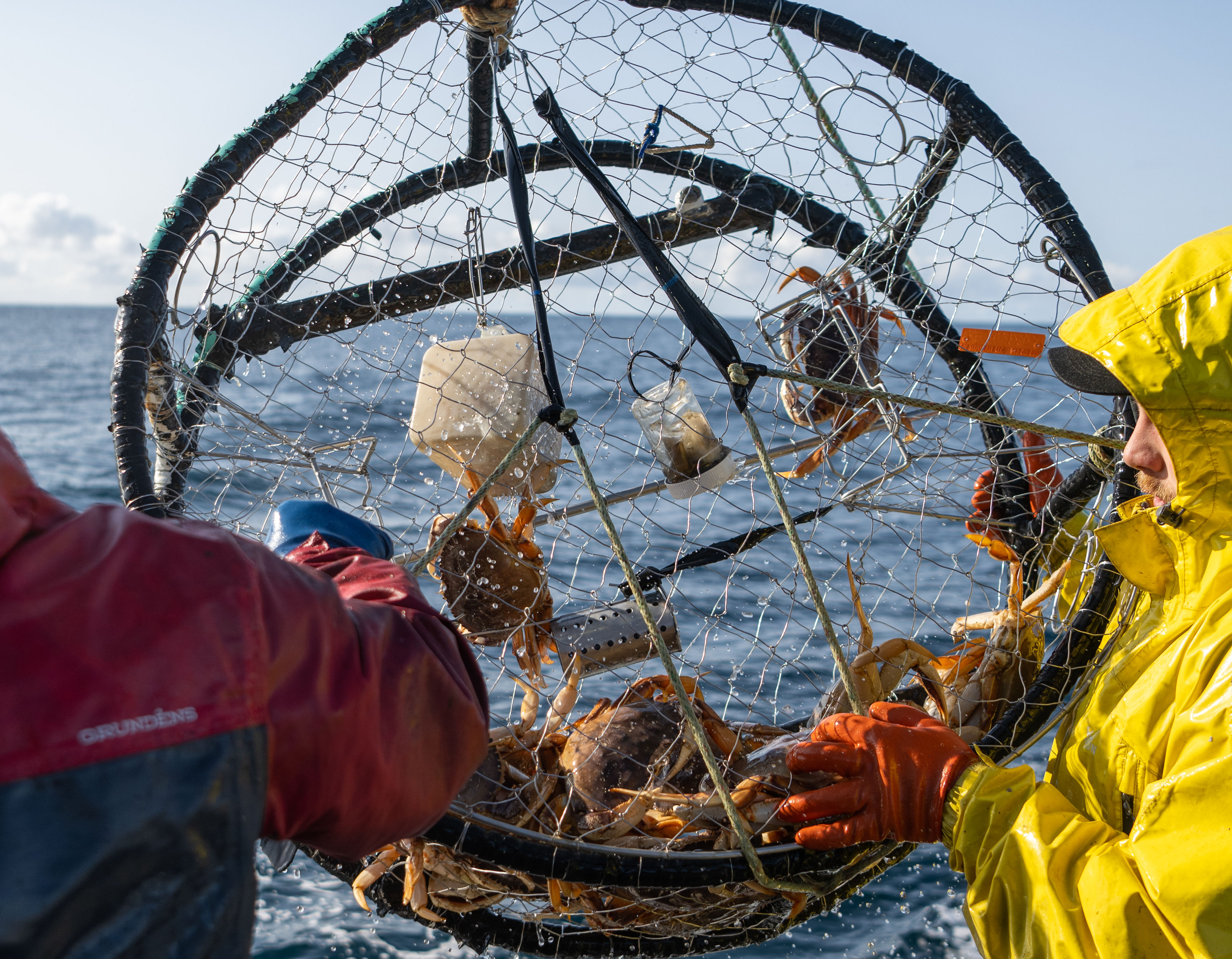 Commercial Fishing Photo Stories: Five Days at the Sitka Herring