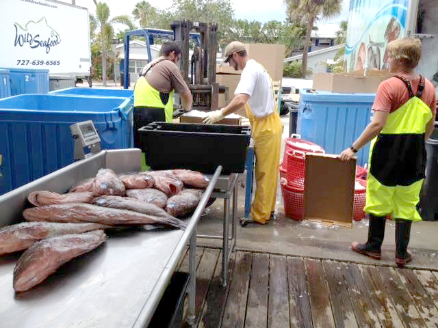 NOAA says status report shows U.S. fisheries 'on track' with