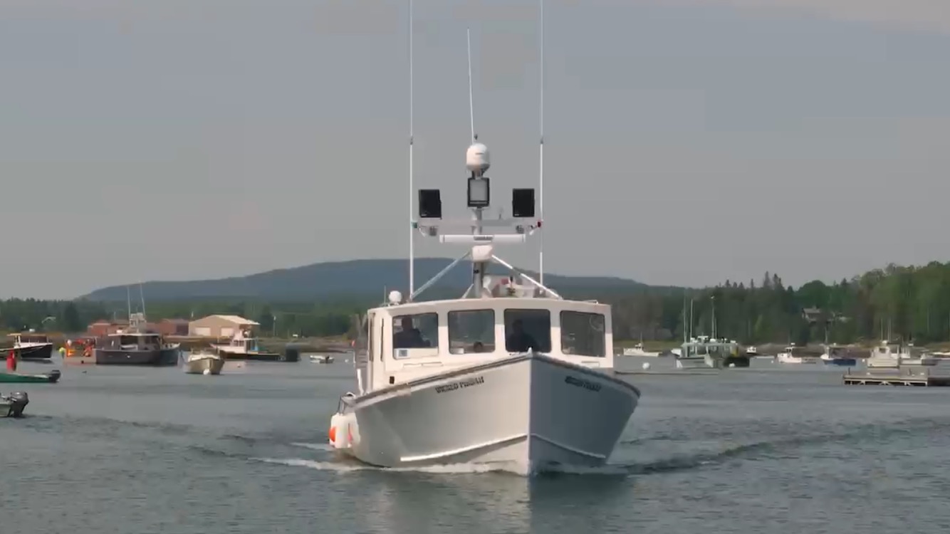 Wicked Pissah: Maine's H&H Marine launches a star-quality bluefin
