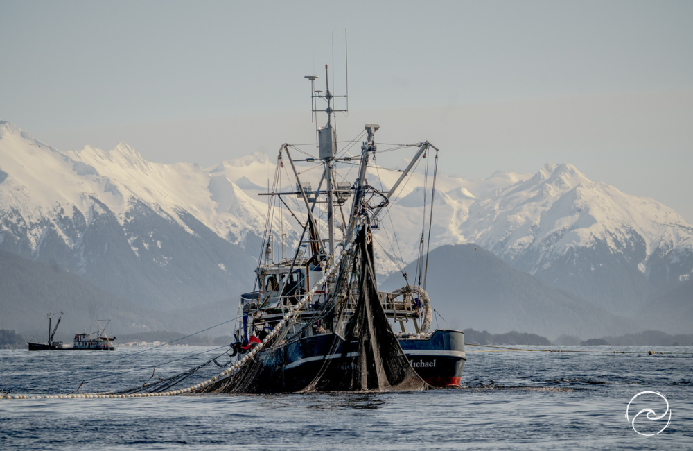 Commercial Fishing Photo Stories: Five Days at the Sitka Herring Fishery