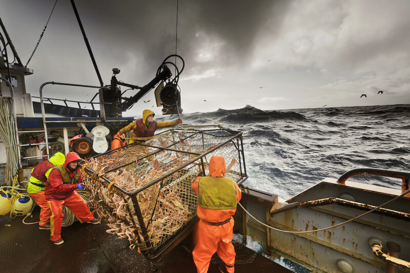 Alaska shuts down crab seasons after dismal survey results