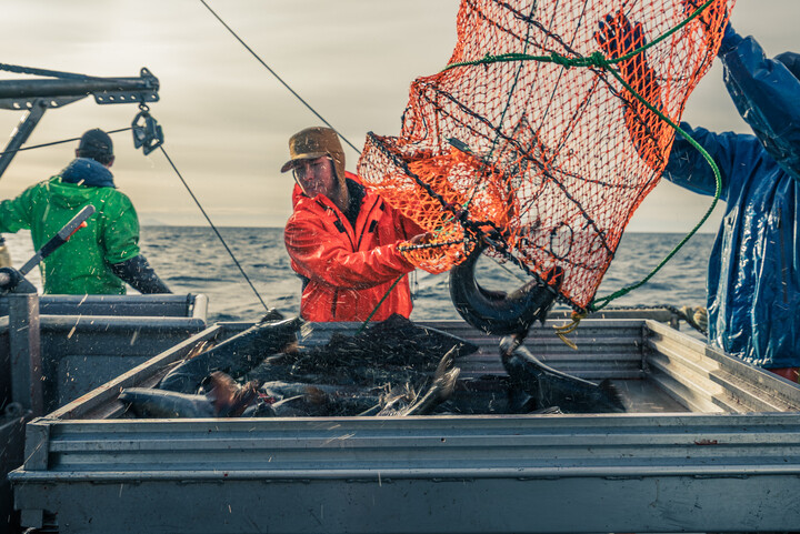 ASMI secures $10.7M in federal funds to boost global seafood marketing