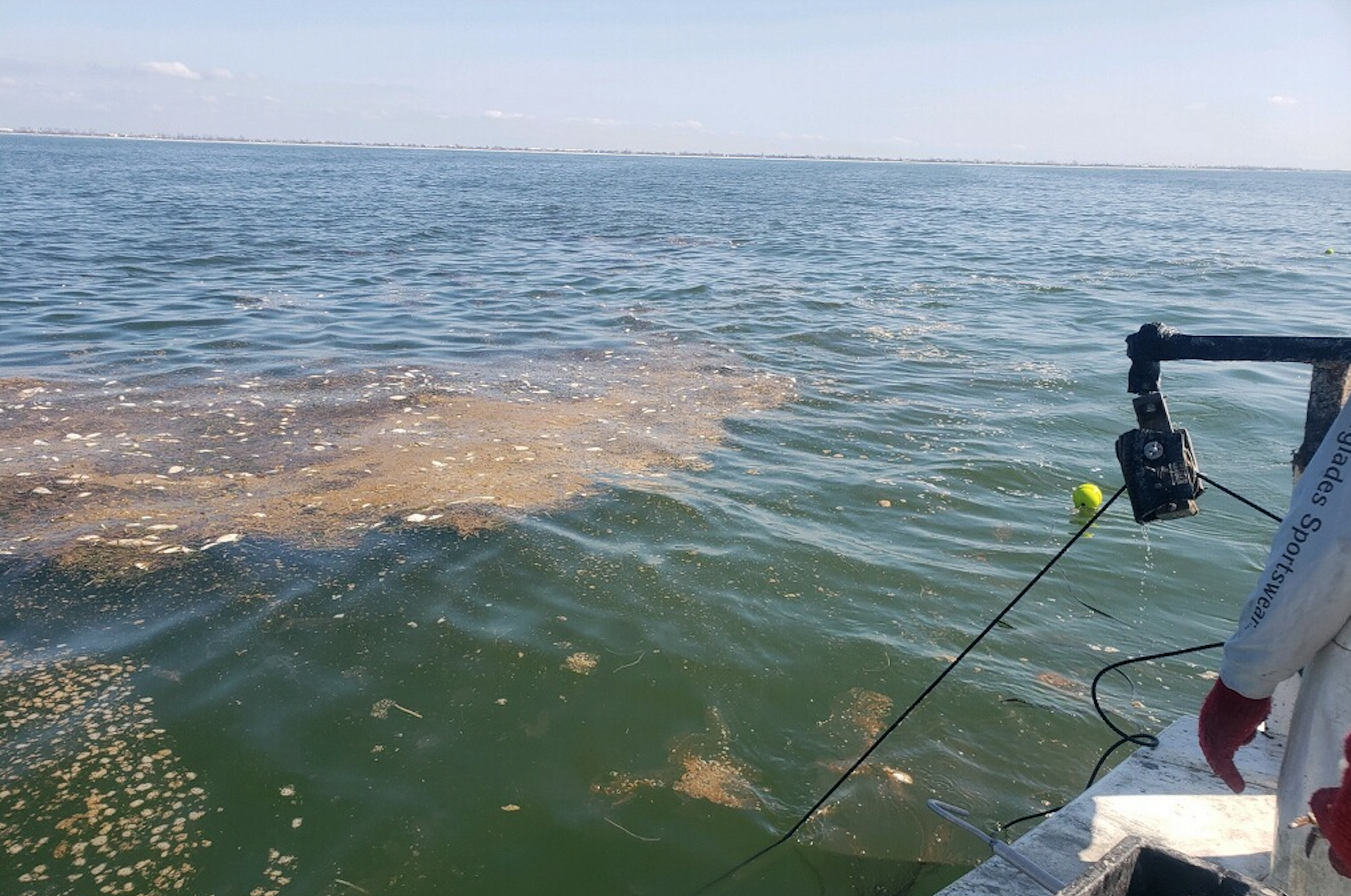 Rebounding from SWFL Red Tide.