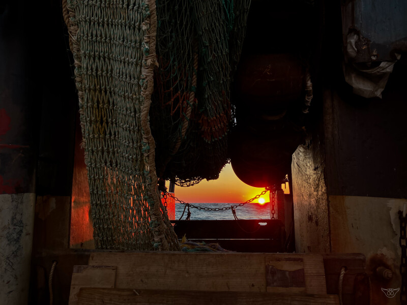 NEFSA names Bonnie Brady policy director, Jason Joyce advocacy lead