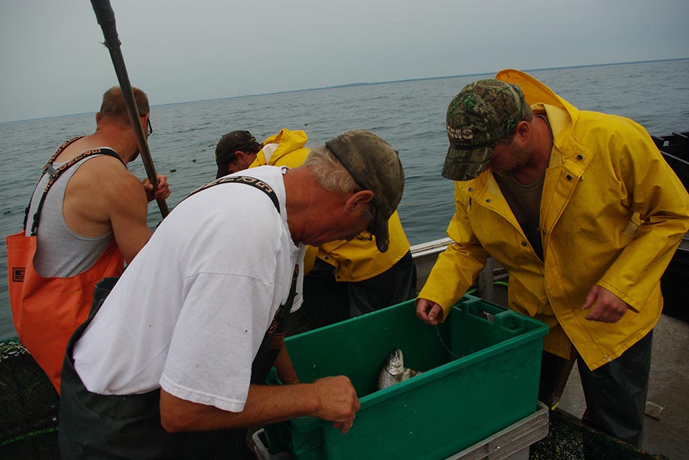 Commercial Fishing  Michigan Sea Grant