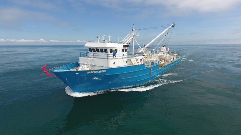 Menhaden debate puts fishermen under pressure
