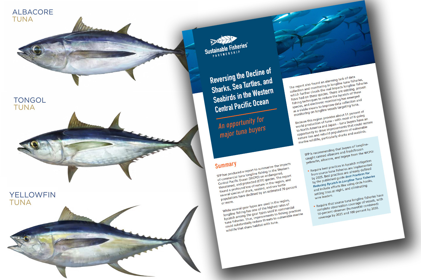 tuna longline, tuna longline Suppliers and Manufacturers at