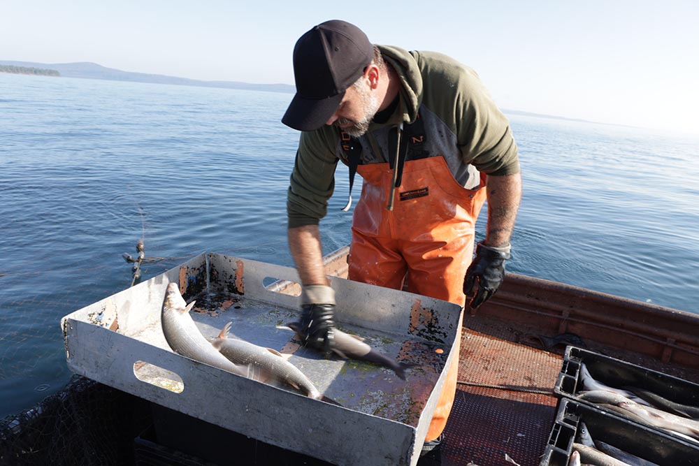 Commercial Fishing  Michigan Sea Grant