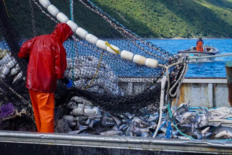 Intro to Commercial Fishing in Alaska 