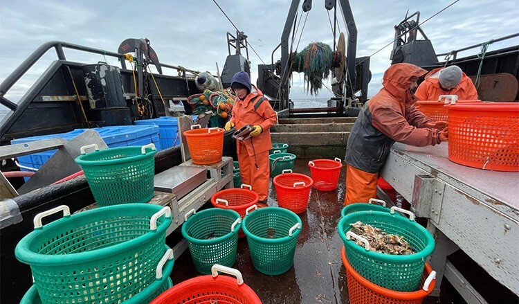 Alaska lawmakers weigh trawl ban as salmon crisis fuels debate