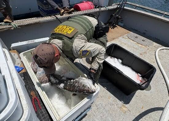 Two commercial fishermen arrested for fishing in protected area