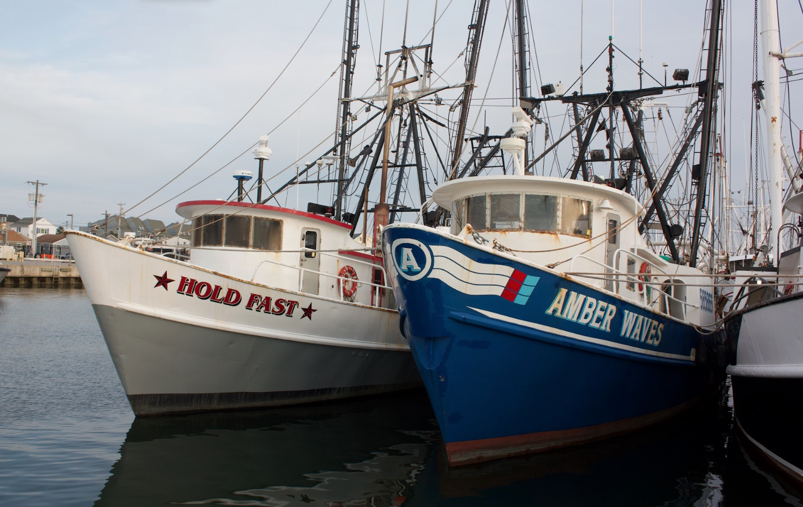 New Jersey Fishermen's Dock Cooperative still strong, 70 years and