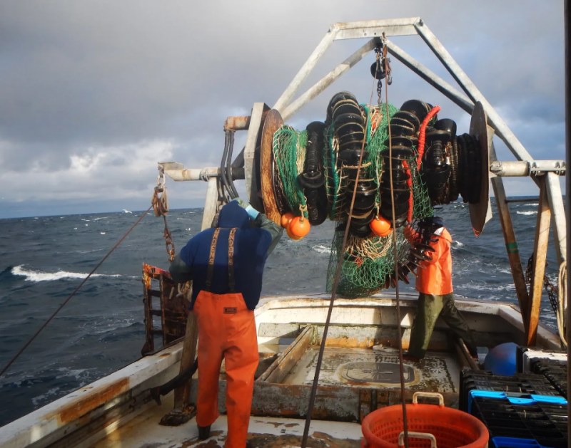 Stop-fishing notices spread as haddock delay drags on