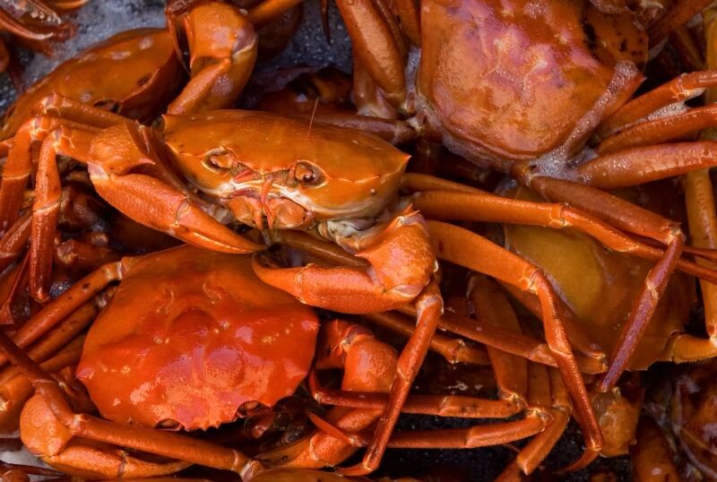 Trump administration reopens Northeast Canyons