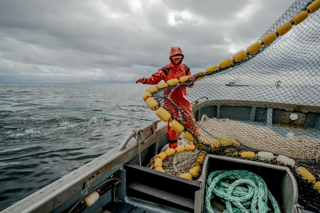 Commercial Fishing Photo Stories: The Hunt for Fish Aboard the F/V Atlantis  in Southern Alaska