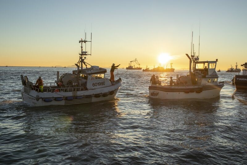 Bristol Bay processors hit fishermen with 50-cent price, protests