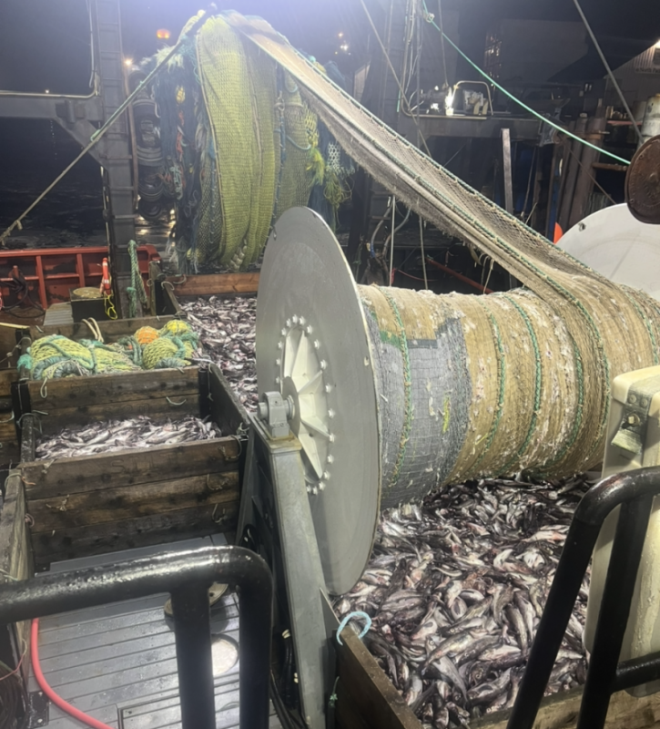 Electronic monitoring embraced by Gulf of Alaska trawlers | National  Fisherman