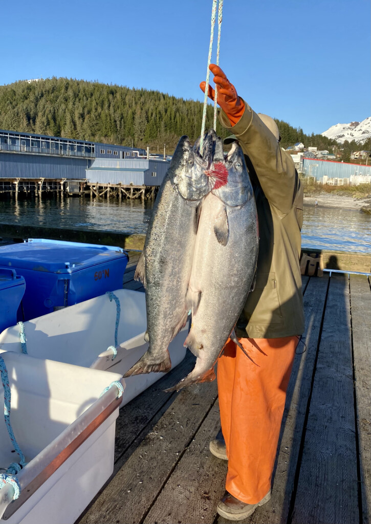 Haul Big Kings: How to Catch Salmon in Alaska's Ship Creek