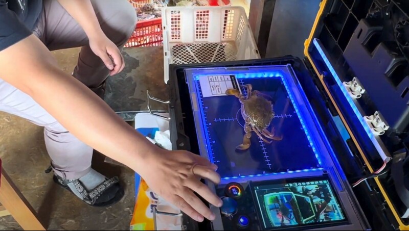 SeafoodAI’s CrabScan360: AI-powered crab sorting revolution