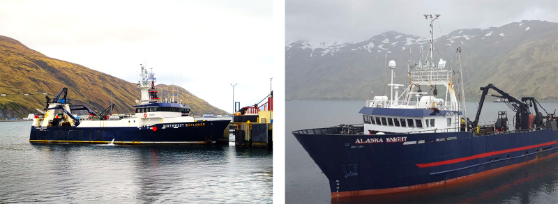 Bering Sea survey to track temperature shifts