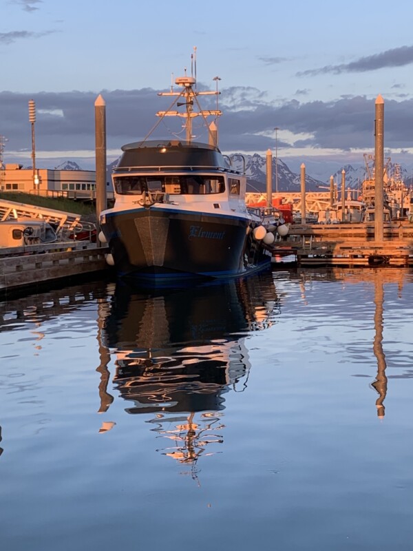Boat of the Month: Element