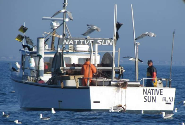 42' Monkfish /skate /dogfish boat for sale: Includes Category B Monkfish and Seabass permits