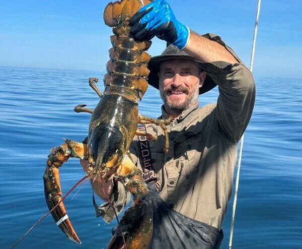 Large lobster off from the Gulf of Maine held by Mike Packard of the F/V J&J. Photo Courtesty of Mike Packard
