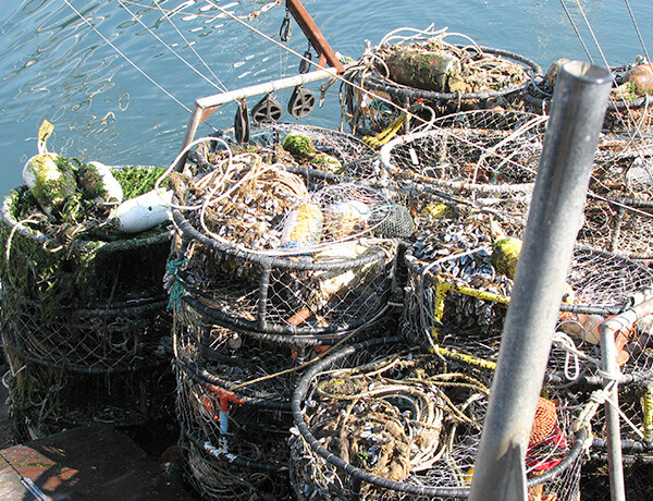 Crab Pot in Other Fishing Equipment & Gear for sale
