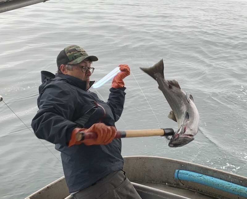 The Wild Fish Conservancy’s never-ending lawsuits