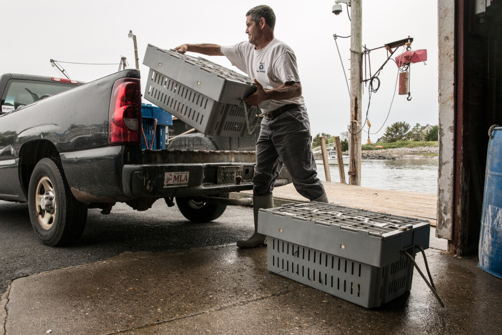 On the docks in Kennebunk: The Maine lobster fishery contributes more than $1 billion to the state economy each year, employing thousands on and off the water. Maine Lobster Marketing Collaborative/Patrick Daly photo