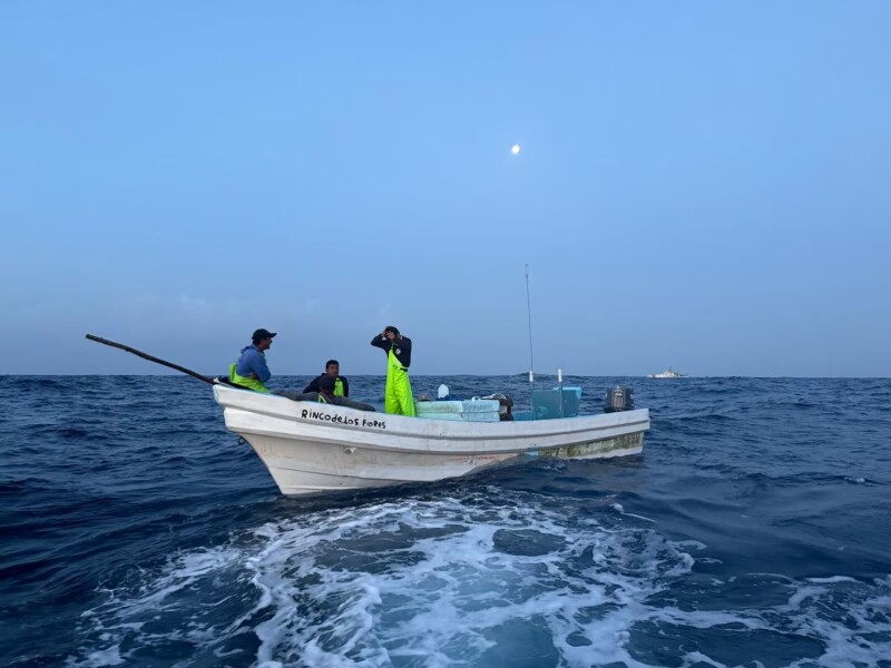 Gulf senators press to block illegal Mexican red snapper from US markets