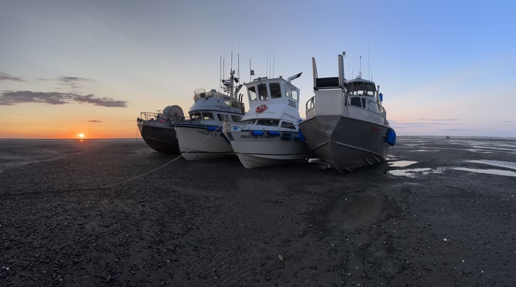 The Commercial Fishermen' — From Teenagers to Captains: Bristol Bay Memoir Tells the Real Story