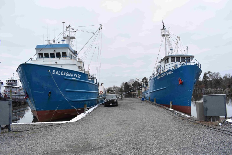Menhaden coalition warns Bay cuts could threaten fishing jobs