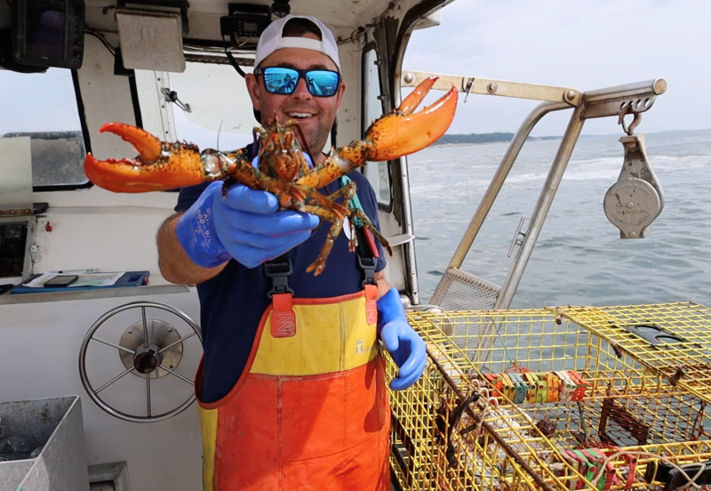 2023 National Fisherman Highliner Curt Brown. Maine lobsterman and marine biologist for Ready Seafood
