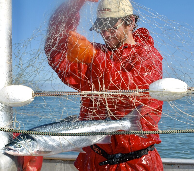 dip net fishing net KastKing Brutus Foldable Extendable Lake X Lures Need help with “Lighting Model:OLS6000 Science First Fieldmaster Basic