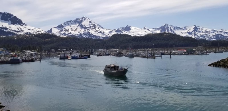 Heading out from Cordova for salmon fishing. Paradigm Seafoods LLC photo.