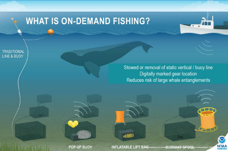 https://s3.divcom.com/www.nationalfisherman.com/images/On-demand%20fishing%20graphic%20NOAA.png.medium.800x800.png