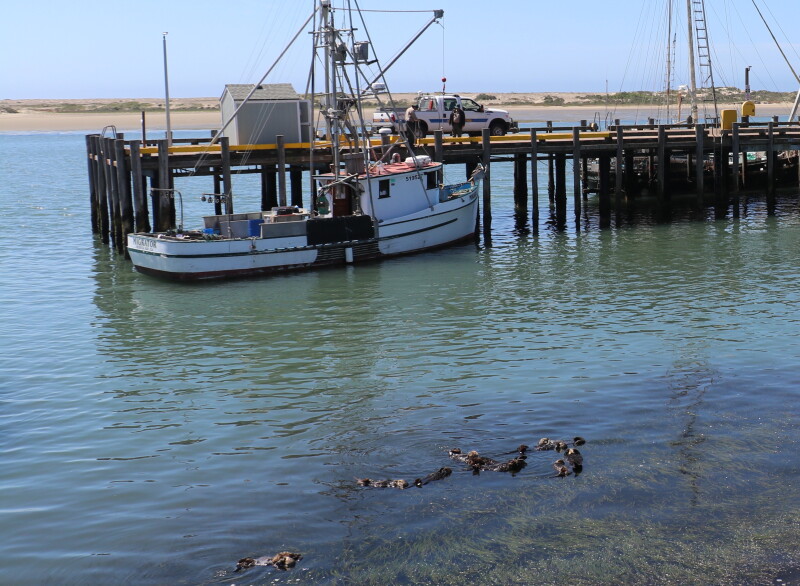 Fishermen challenge sea otter protections in Calif. waters