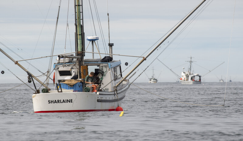 Wesley Loy | National Fisherman