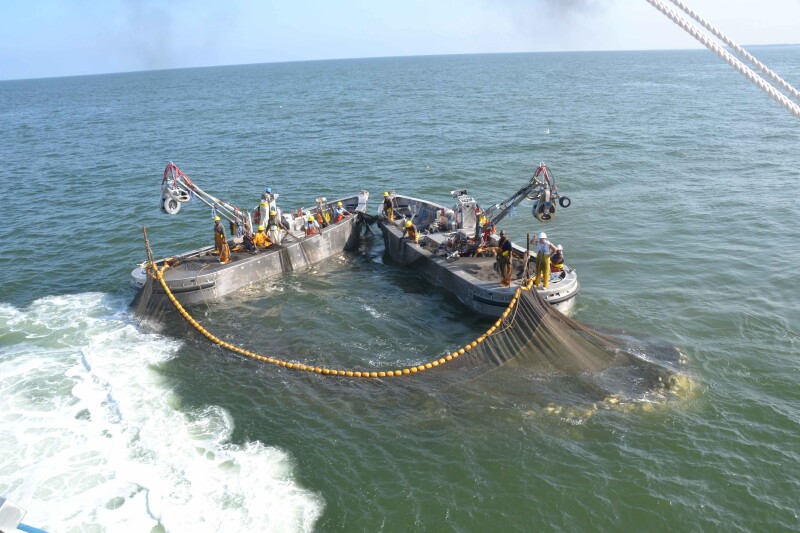 Lawmakers approve funding of menhaden study