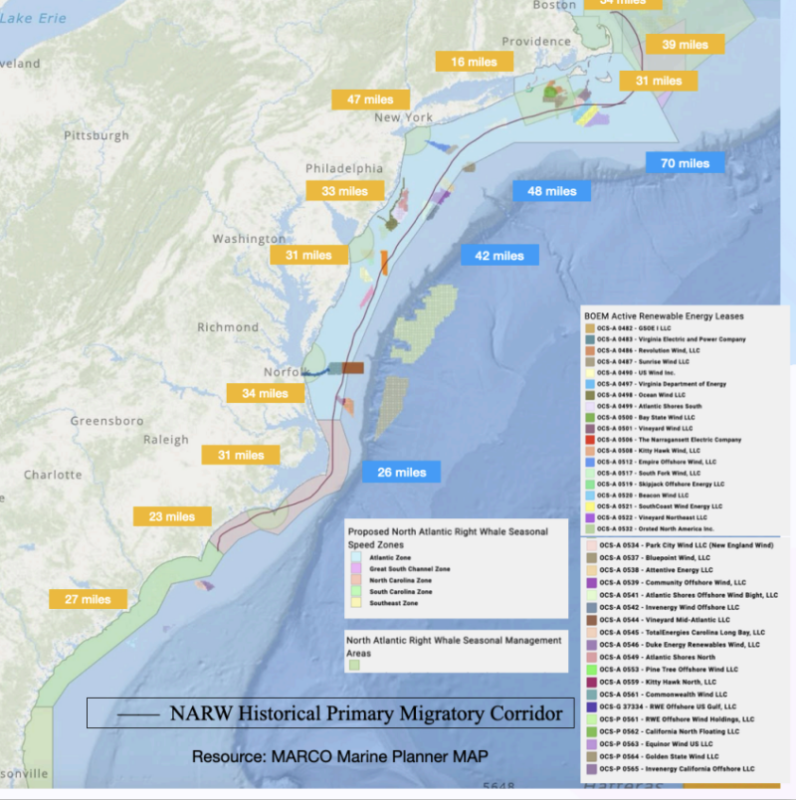 NOAA refuses petition for right whale migration corridor