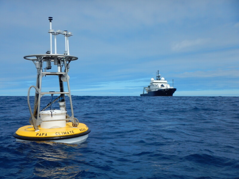 Loss of ocean monitoring could create fisheries blind spot