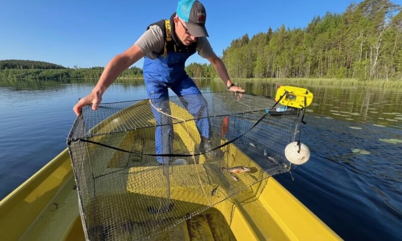 CatchCam building small-scale fisheries